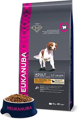 Meilleures croquettes pour chien