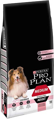 Meilleures croquettes pour chien