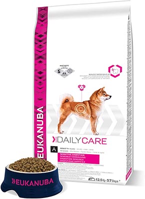 Meilleures croquettes pour chien