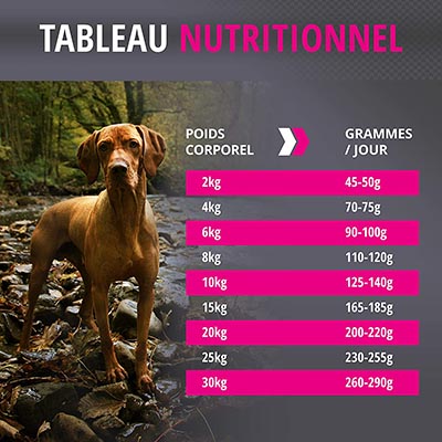 Meilleures croquettes pour chien